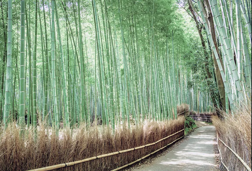 時をかさね、時をこえた 「きょう」の魅力にであう。