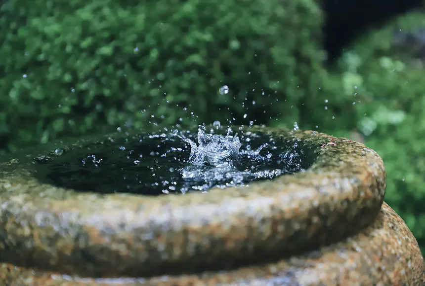 時をかさね、時をこえた 「きょう」の魅力にであう。