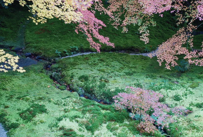 時をかさね、時をこえた 「きょう」の魅力にであう。