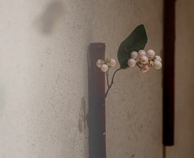 お知らせのページメイン画像