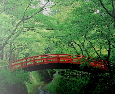 周辺観光のページメイン画像