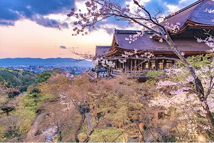 祇園・東山エリア